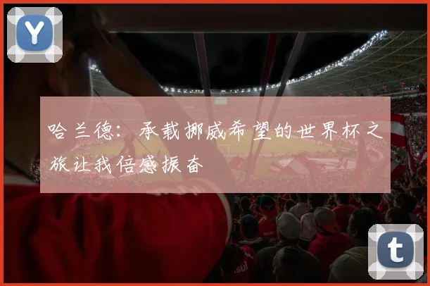 哈兰德：承载挪威希望的世界杯之旅让我倍感振奋